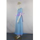 Disney Peter Pan Wendy Cosplay Costume