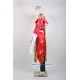 Samurai Warriors 2 Wu Luxun Cosplay Costume