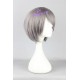 General wig cosplay wig short wig light grey color