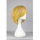 Code Geass Kallen Stadtfeld cosplay wig short wig