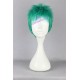 One piece Roronoa Zoro cosplay wig short wig 