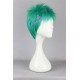 One piece Roronoa Zoro cosplay wig short wig 