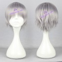 Katekyo Hitman Reborn! Gokudera Hayato cosplay wig natsume yuujinchou wig