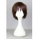 Attack On Titan Eren Jaeger Eren Yeager Eren Jager cosplay wig short wig