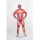 Attack on Titan Colossal Titan Cosplay Costume