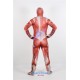 Attack on Titan Colossal Titan Cosplay Costume