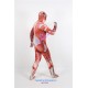 Attack on Titan Colossal Titan Cosplay Costume