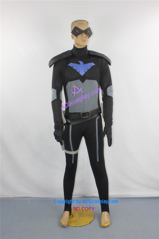 Nightwing Costume Young Justice DC Comic Young Justice Nightwing