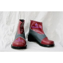 Tales Of The Abyss Luke fon Fabre Cosplay Shoes