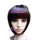 Women's 24cm Dark Brown Short Wig cosplay wig