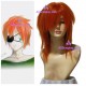 D.Gray-man Ravi.Bookman.Jr  Cosplay Wig