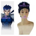 Fate Stay Night Lancer Cosplay Wig