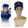 Fate Stay Night Lancer Cosplay Wig