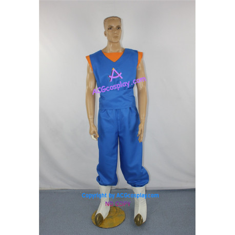 Dragon Ball Z vegito Super Saiyan Cosplay Costume