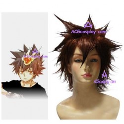 Katekyo Hitman Reborn! Tsunayoshi Sawada cosplay wig spiky style