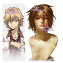 Katekyo Hitman REBORN! Mukuro Rokudo cosplay wig short wig