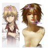 Katekyo Hitman REBORN! Mukuro Rokudo cosplay wig short wig