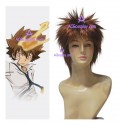 Katekyo Hitman Reborn! Sawada Tsunayoshi cosplay wig