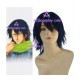 Prince of Tennis Yushi Oshitari Cosplay Wig