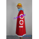 One Piece Monkey D. Luffy cosplay costume with straw hat