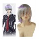 Vampire Knight Kiryuu Zero Cosplay Wig