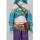 Legend of Zelda Breath of the Wild Link Cosplay Costume Gerudo costume