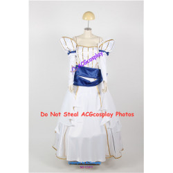 Fire Emblem Awakening Cosplay Bride Cosplay Costume big dress