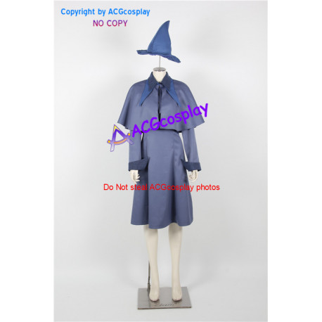 Harry Potter Fleur Delacour Cosplay Costume include hat