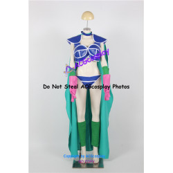 Dragon Ball Z Chi Chi Cosplay Costume