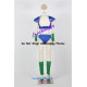 Dragon Ball Z Chi Chi Cosplay Costume