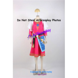 Legend of Zelda Skyward Sword Princess Zelda Cosplay Costume