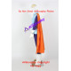 Dragon Ball Z Great Saiyagirl Cosplay Costume