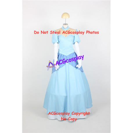 Infinite Stratos Houki Shinonono Cosplay Costume Cinderella dress version cosplay