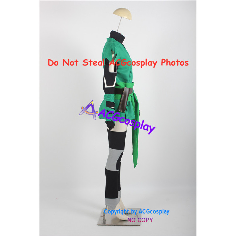 cheshire costume dc