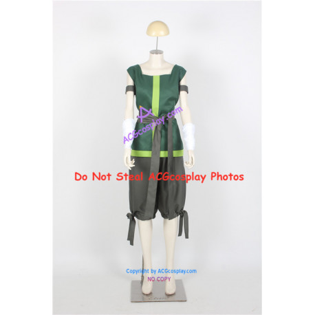 Avatar The Legend of Korra cosplay Korra Cosplay Costume