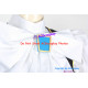 Phoenix Wright Ace Attorney Justice For All cosplay Franziska Von Karma Cosplay Costume