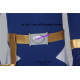 Power rangers Dino thunder blue ranger Blue Dino Ranger cosplay costume