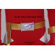 Power rangers Dino thunder red ranger Red Dino Ranger cosplay costume