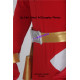 Power rangers Dino thunder red ranger Red Dino Ranger cosplay costume