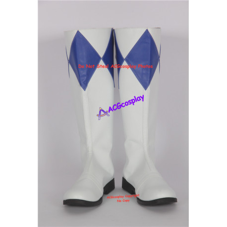 Mighty Morphin Power Rangers Blue Ranger Cosplay Boots Cosplay Shoes