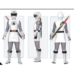 Power Rangers white Ninja Storm White ranger Tally White Ice Ranger cosplay costume and real boots shoes