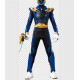 Commission Request  Sentai Gozyuger GozyuLeon Cosplay Costume