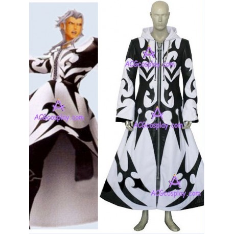 Kingdom Hearts Xemnus cosplay costume