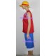 One Piece Monkey D. Luffy cosplay costume