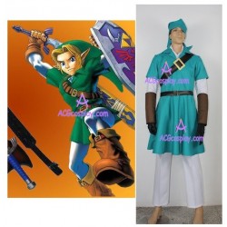 The Legend of Zelda Link cosplay costume