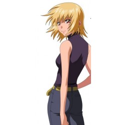 Gundam Mobile Suit Gundam SEED Destiny Cagalli Yula Athha Cosplay wig