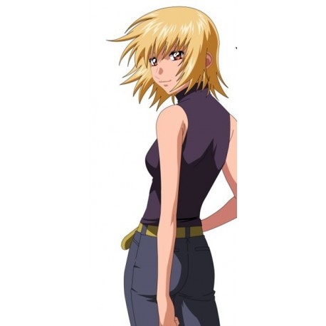 Gundam Mobile Suit Gundam SEED Destiny Cagalli Yula Athha Cosplay wig