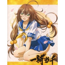 Ikki Tousen Ryuubi Gentoku Cosplay Wig long wig brown