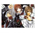 Vampire Knight cosplay wig